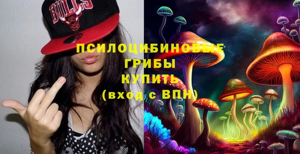 прущий лед Бежецк