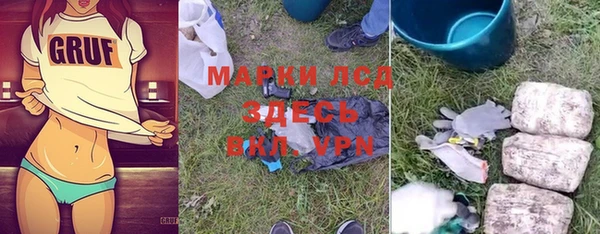 сатива Белая Холуница
