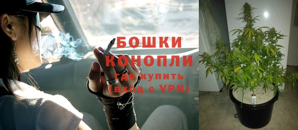 прущий лед Бежецк