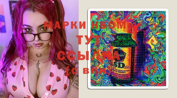 стаф Вяземский