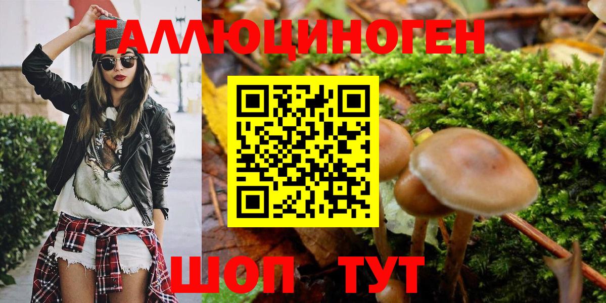 Ирбит  Псилоцибиновые грибы Psilocybine cubensis  купить наркотик  Вход с VPN 