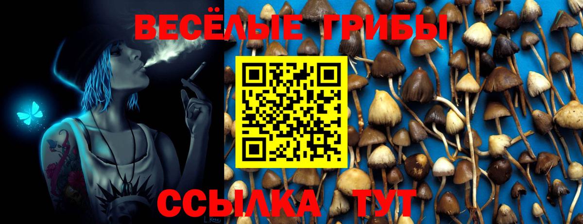 Галлюциногенные грибы мухоморы Ирбит
